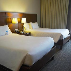 Double Room Two Double Beds